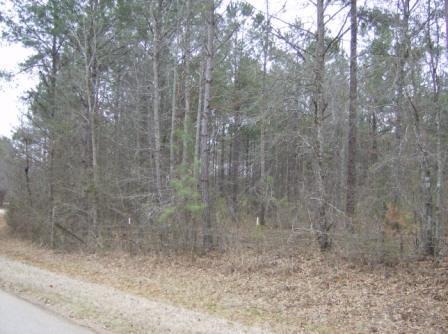 1998 Flint Rd, Culloden, GA 31016 photo 5