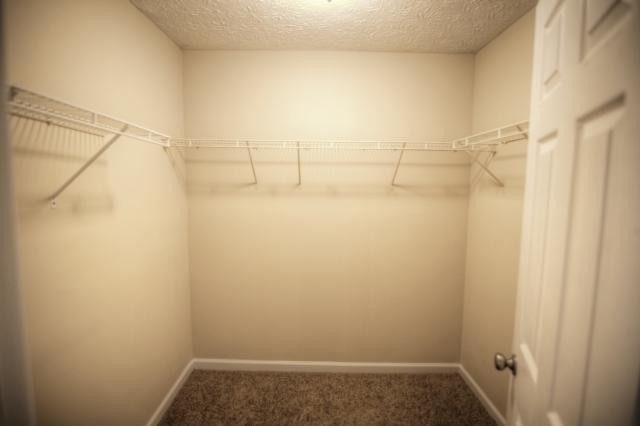 8331 Milam Loop, Fairburn, GA 30213 photo 19