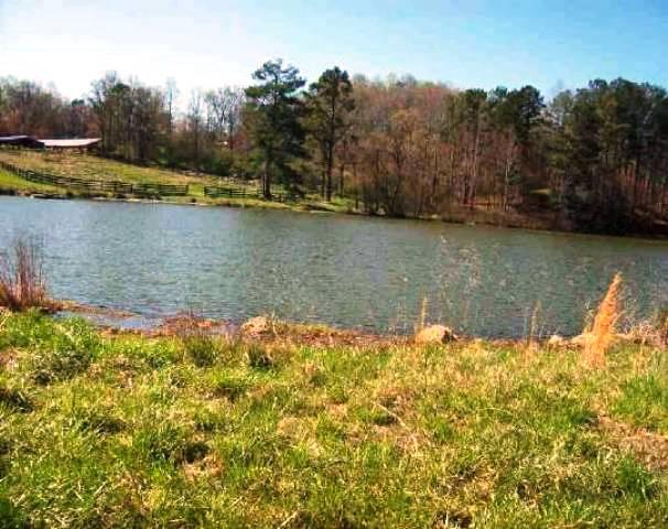 771 Mitchell Rd, Jasper, GA 30143 photo 15