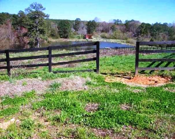 771 Mitchell Rd, Jasper, GA 30143 photo 3