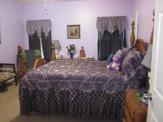 509 Bethelview Dr, Hampton, GA 30228 photo 12