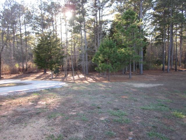 509 Bethelview Dr, Hampton, GA 30228 photo 21