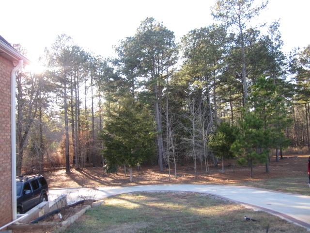 509 Bethelview Dr, Hampton, GA 30228 photo 3