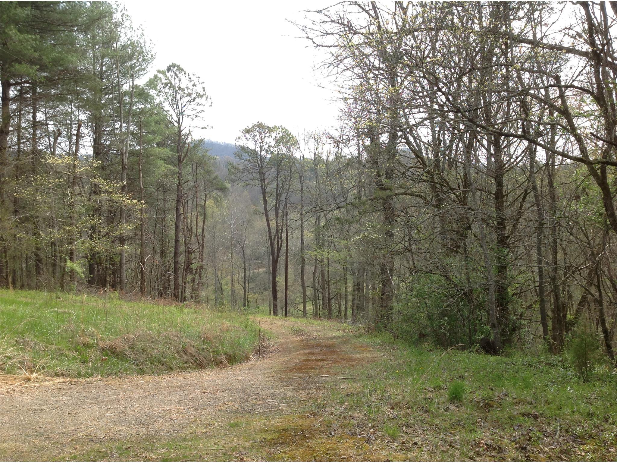 905 Brown Rd, Otto, NC 28763 photo 15