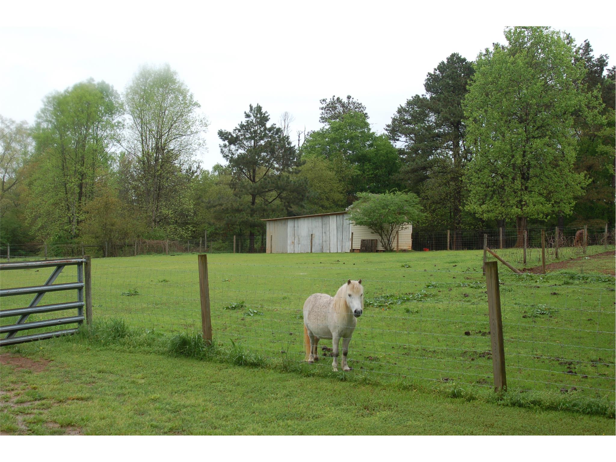 976 Bethlehem Rd, Winder, GA 30680 photo 21
