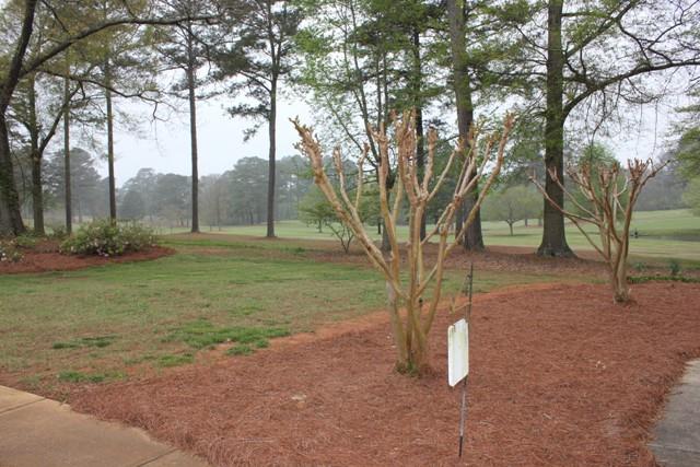 896 Fairway Dr, Monroe, GA 30655 photo 24