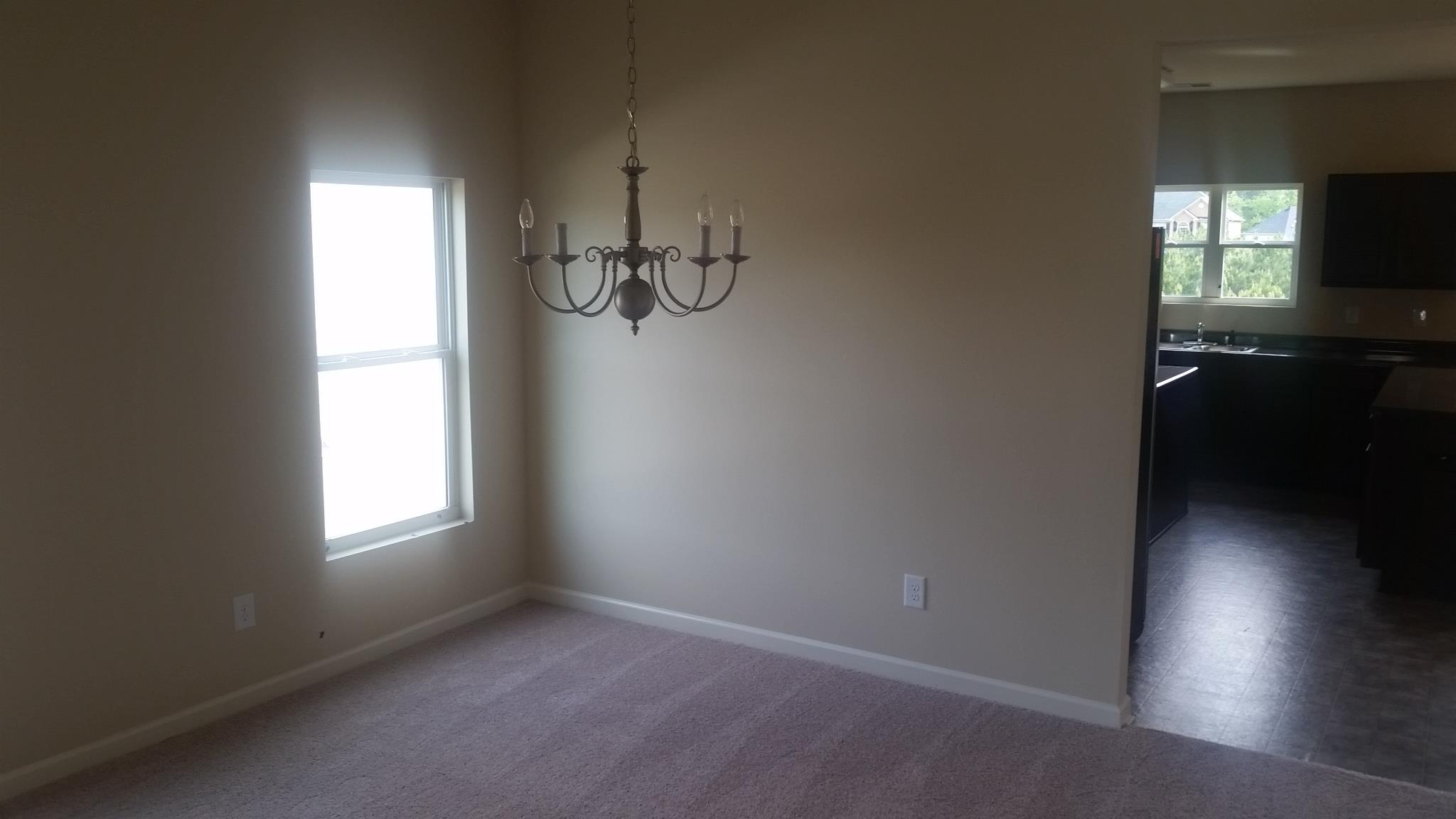 376 Lamont Ln, Hampton, GA 30228 photo 11