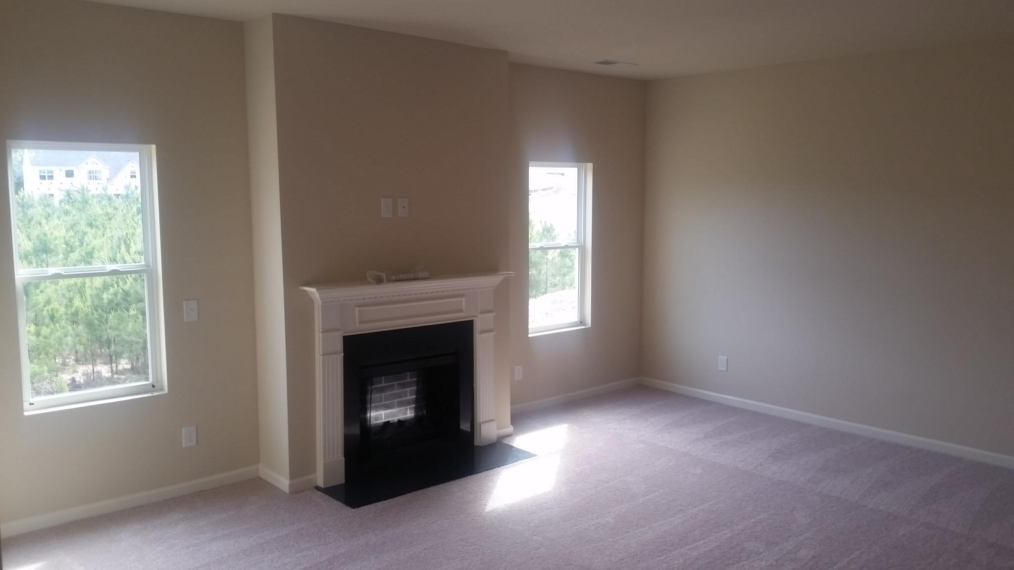 376 Lamont Ln, Hampton, GA 30228 photo 15