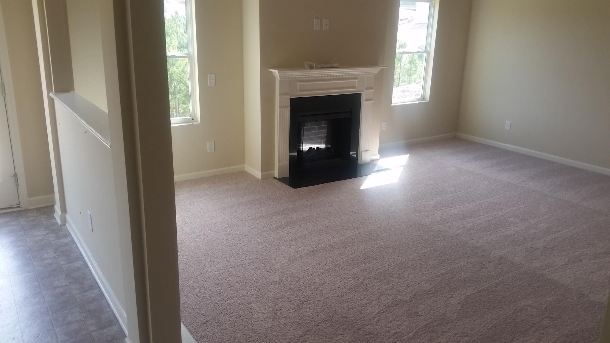 376 Lamont Ln, Hampton, GA 30228 photo 13