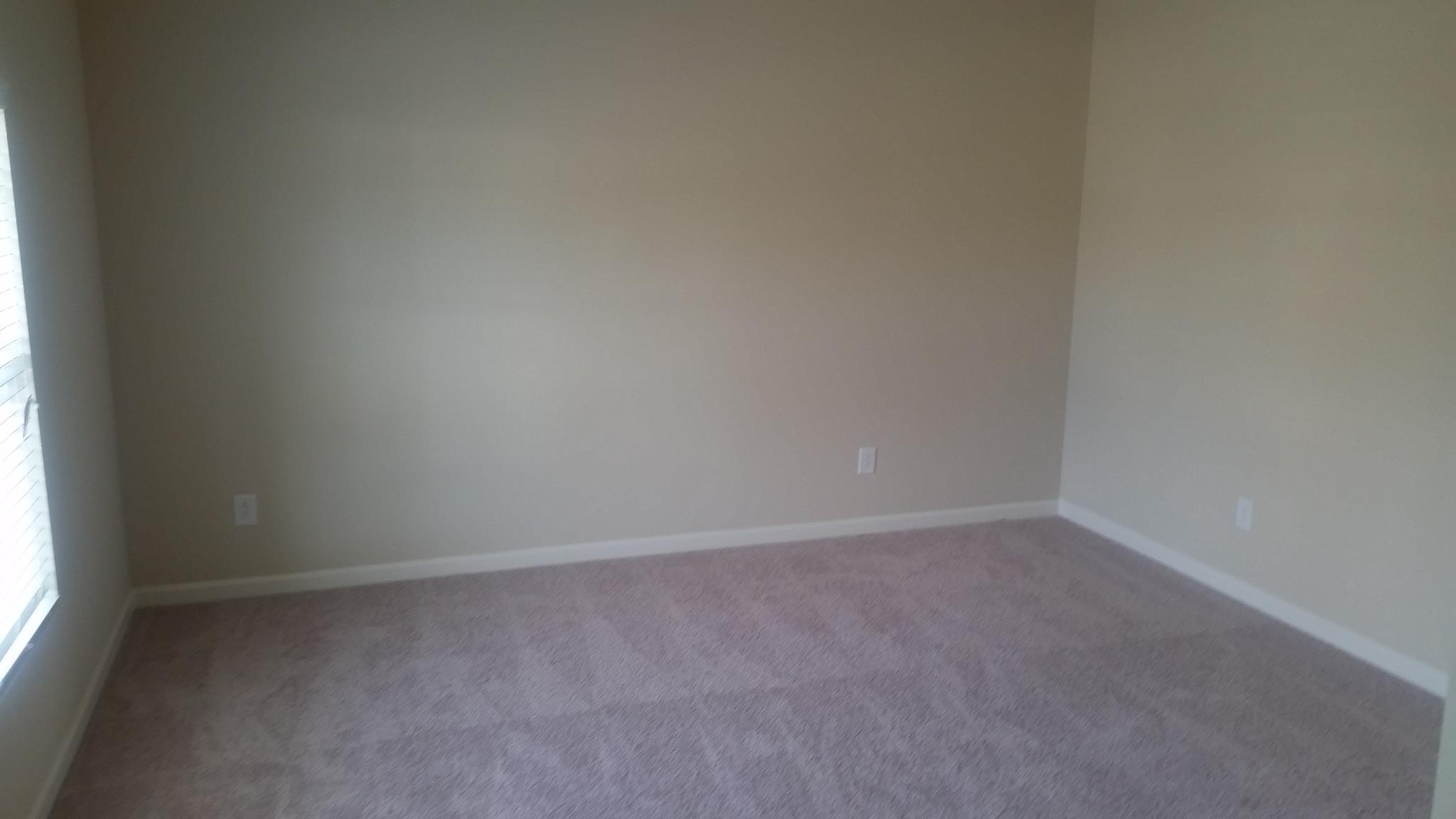 376 Lamont Ln, Hampton, GA 30228 photo 12