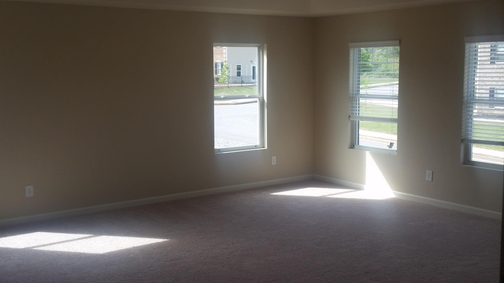 376 Lamont Ln, Hampton, GA 30228 photo 20