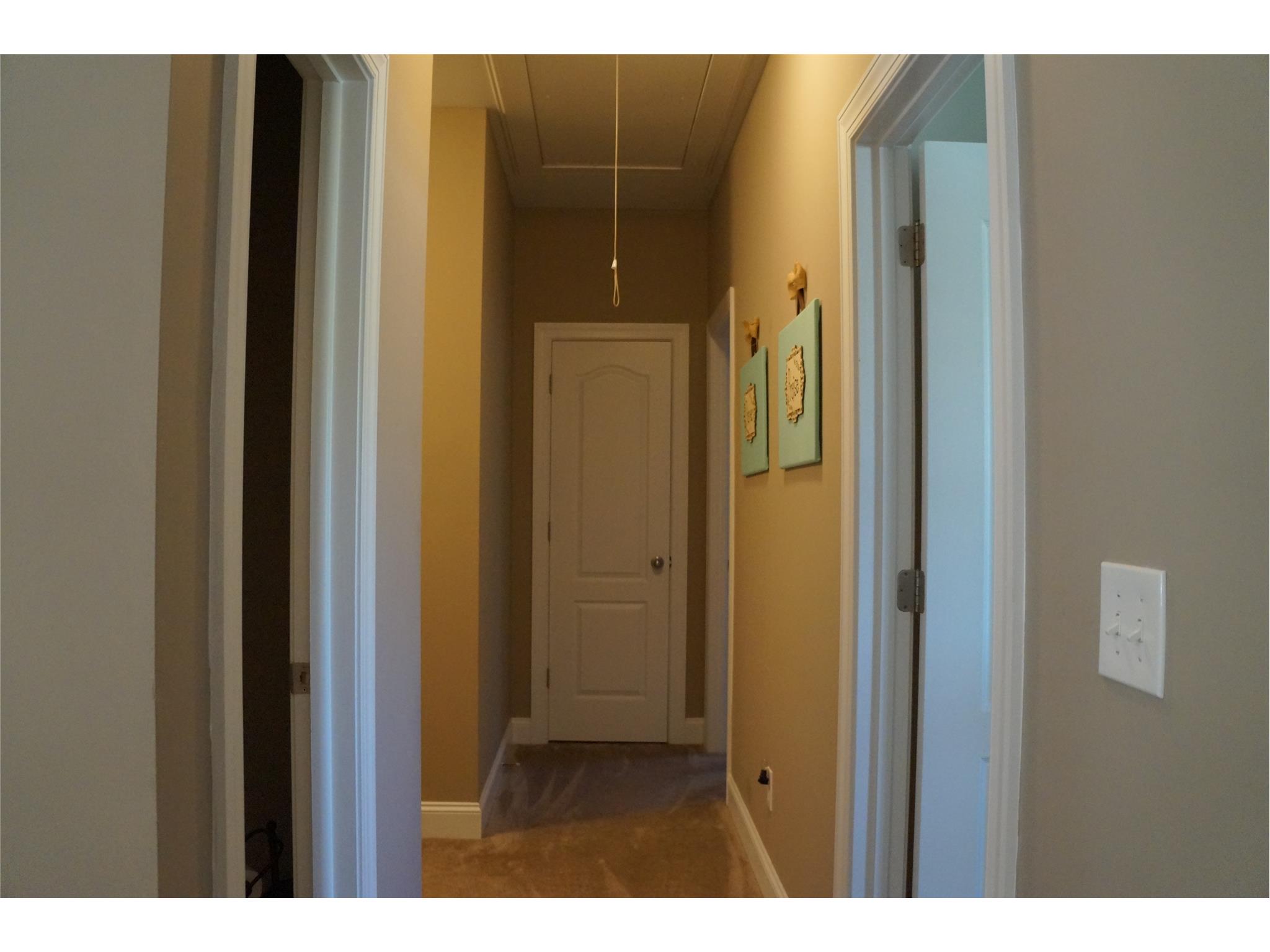 100 Longleaf Dr, Jackson, GA 30233 photo 14