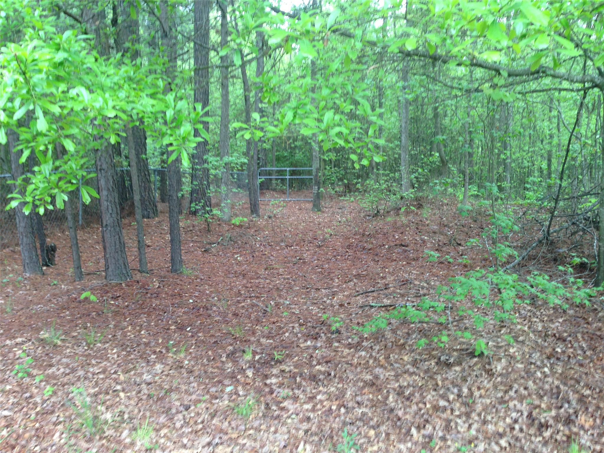 3440 Davan Ln, Monroe, GA 30655 photo 7