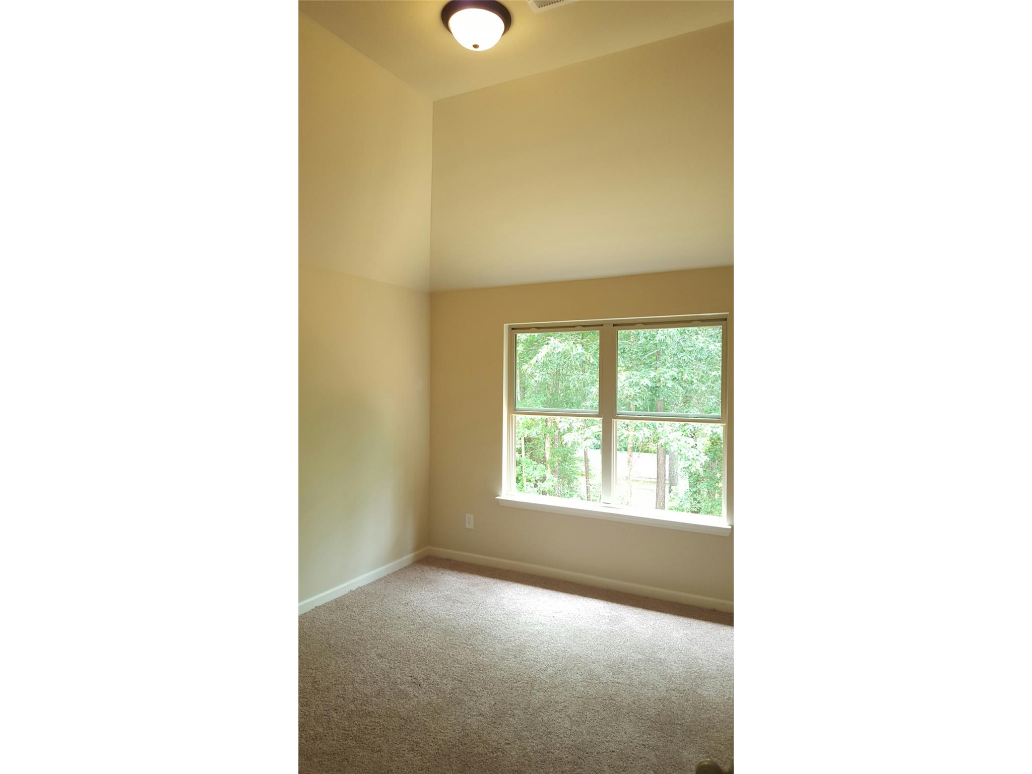 12114 Centerra Dr, Hampton, GA 30228 photo 10