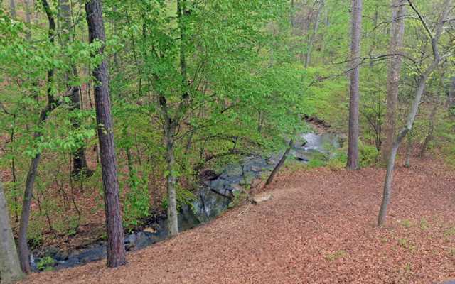 110 Cottoneaster Ln, Alpharetta, GA 30004 photo 25