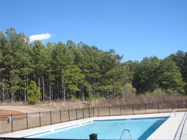2040 Browning Bend Ct, Dacula, GA 30019 photo 8