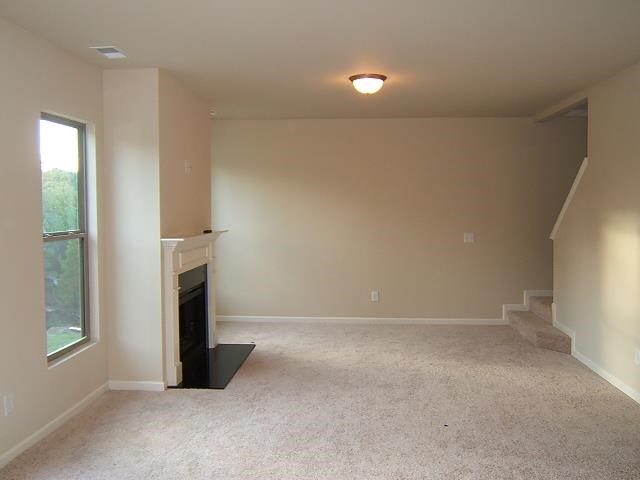 1175 Lehavre Ct, Hampton, GA 30228 photo 14