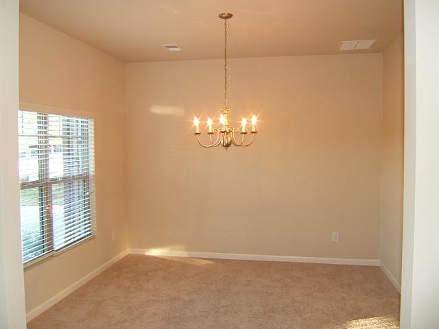 1175 Lehavre Ct, Hampton, GA 30228 photo 21