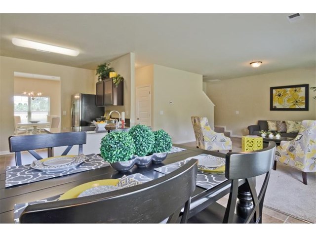 1175 Lehavre Ct, Hampton, GA 30228 photo 13