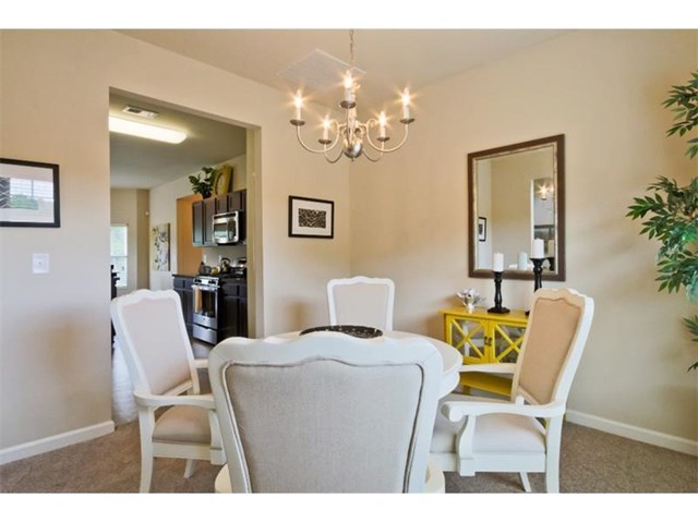 1175 Lehavre Ct, Hampton, GA 30228 photo 10