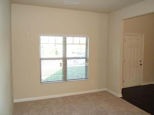 1175 Lehavre Ct, Hampton, GA 30228 photo 18