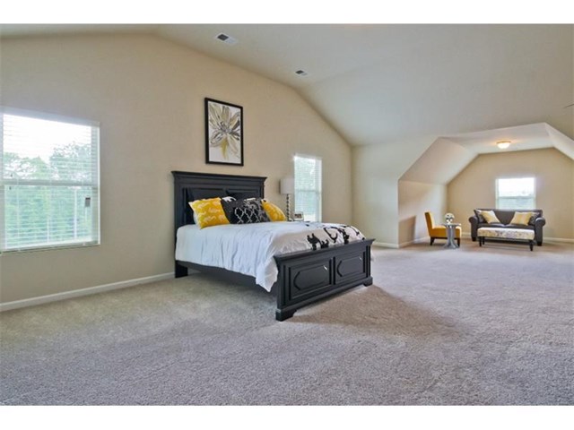 1175 Lehavre Ct, Hampton, GA 30228 photo 15