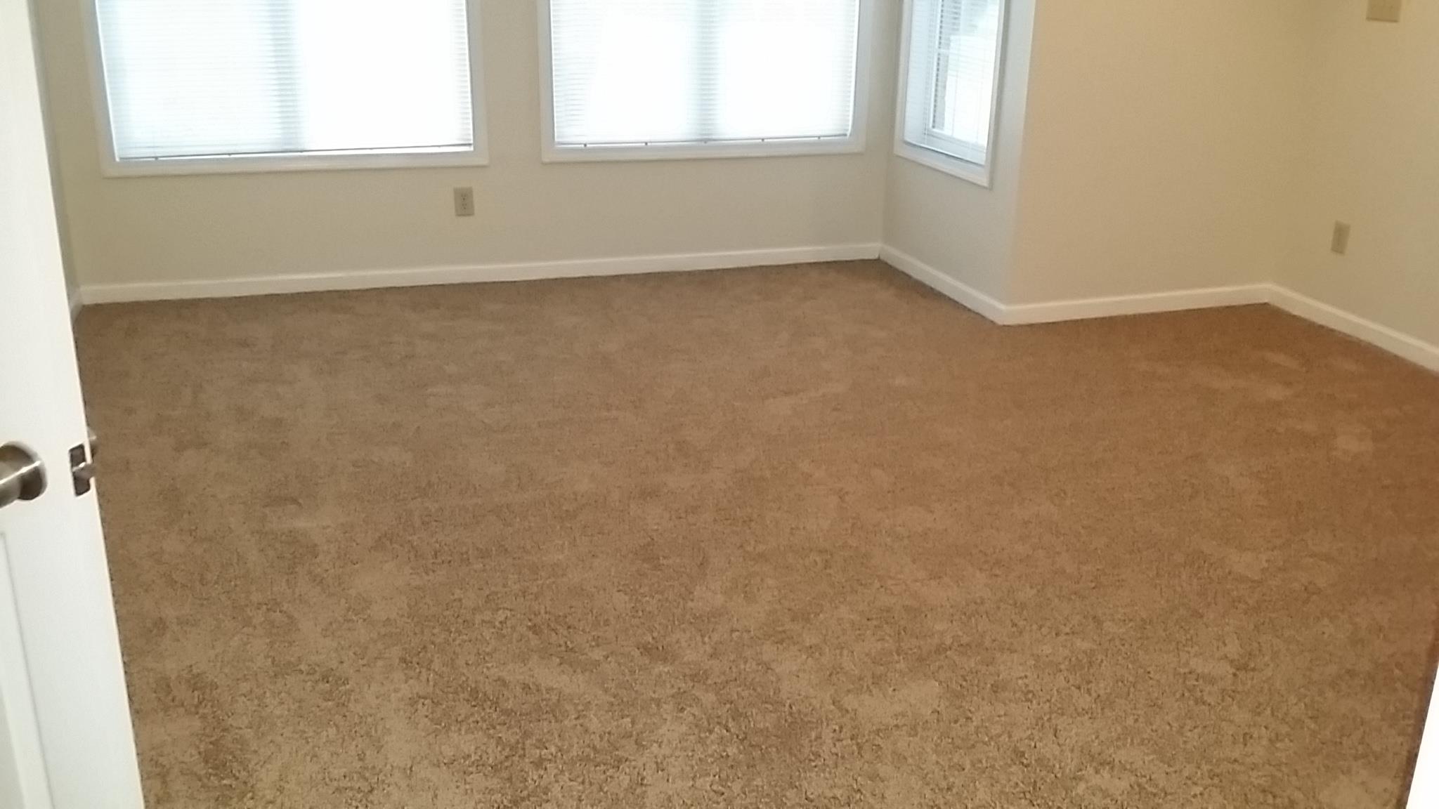 11696 Heritage Dr, Hampton, GA 30228 photo 7