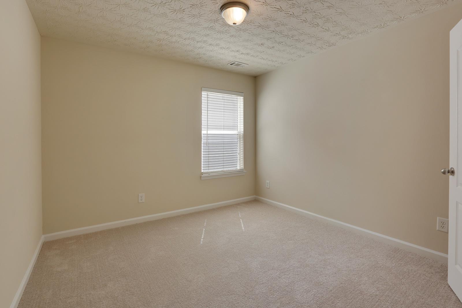 4748 Mcever View Dr, Buford, GA 30518 photo 20