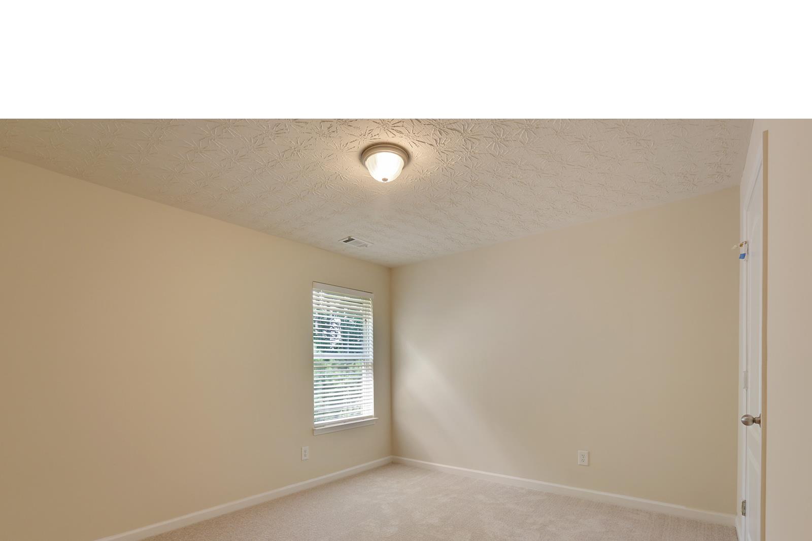 4748 Mcever View Dr, Buford, GA 30518 photo 21