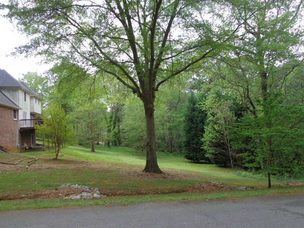 6 Golf Ln, Newnan, GA 30263 photo 19