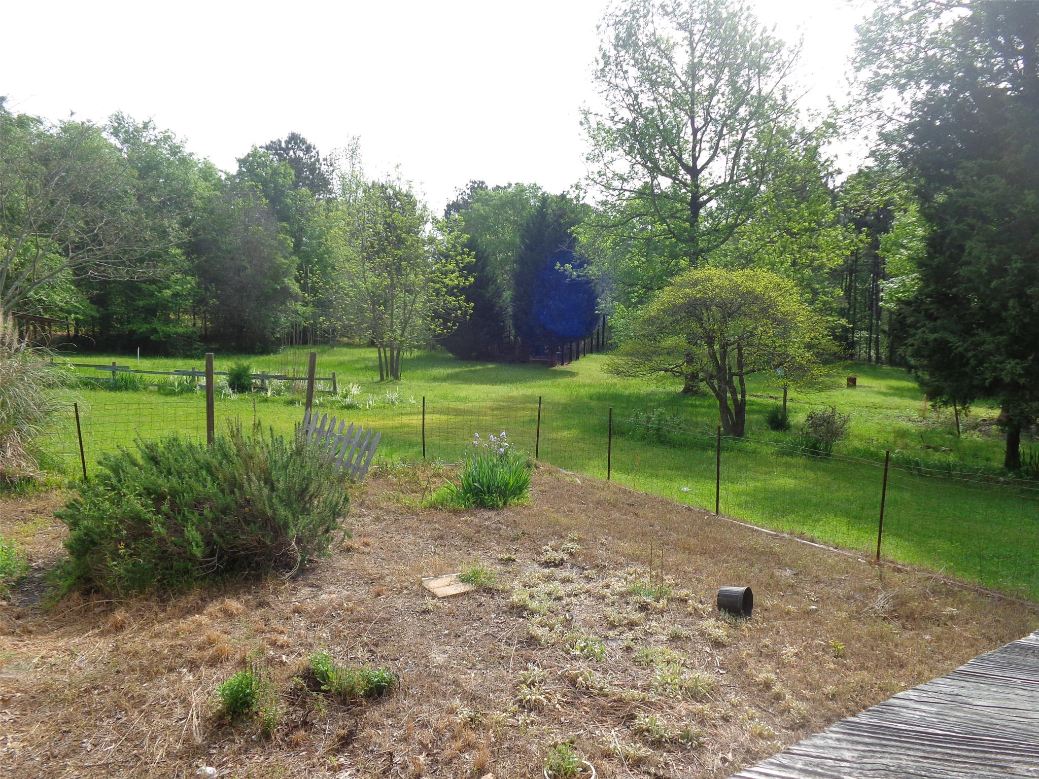235 Moccasin Gap, Jackson, GA 30233 photo 16