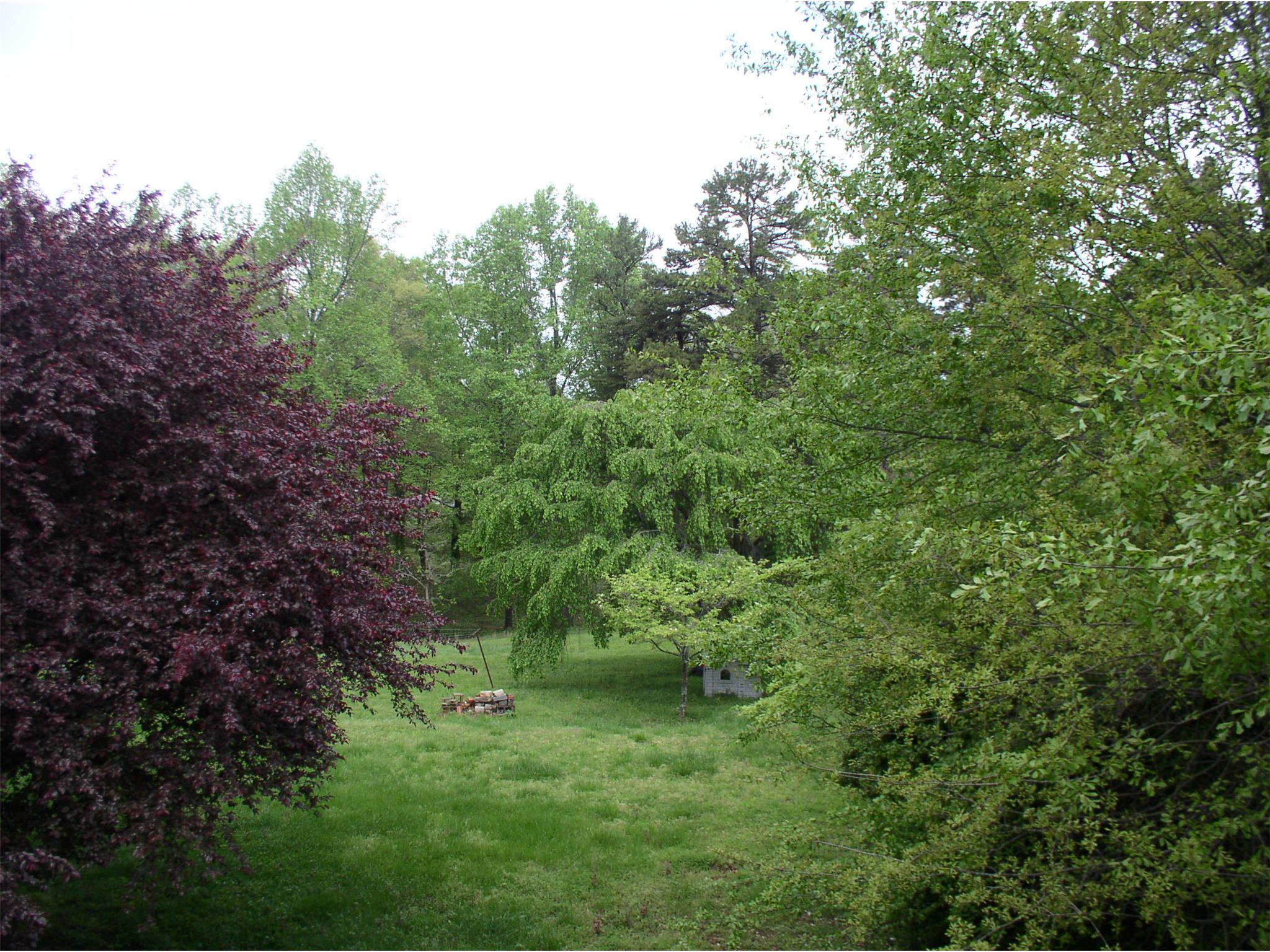 345 Highland Ave, Cornelia, GA 30531 photo 3