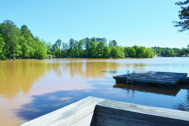 310 Thorpe Rd, Jackson, GA 30233 photo 20
