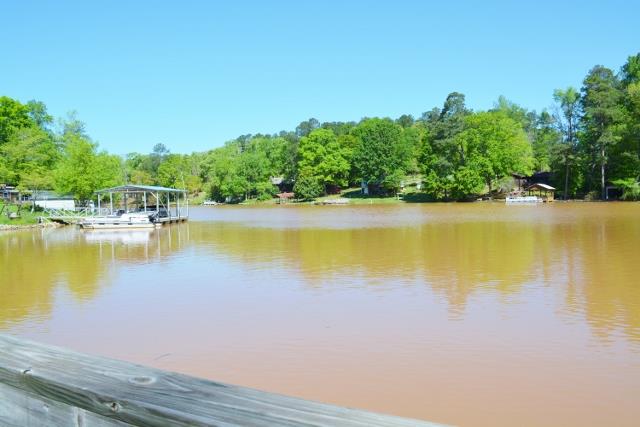 310 Thorpe Rd, Jackson, GA 30233 photo 21