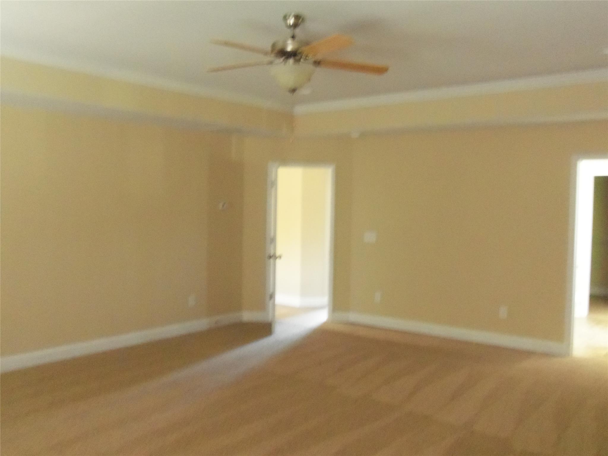 764 Sugarloaf Way, Hampton, GA 30228 photo 24