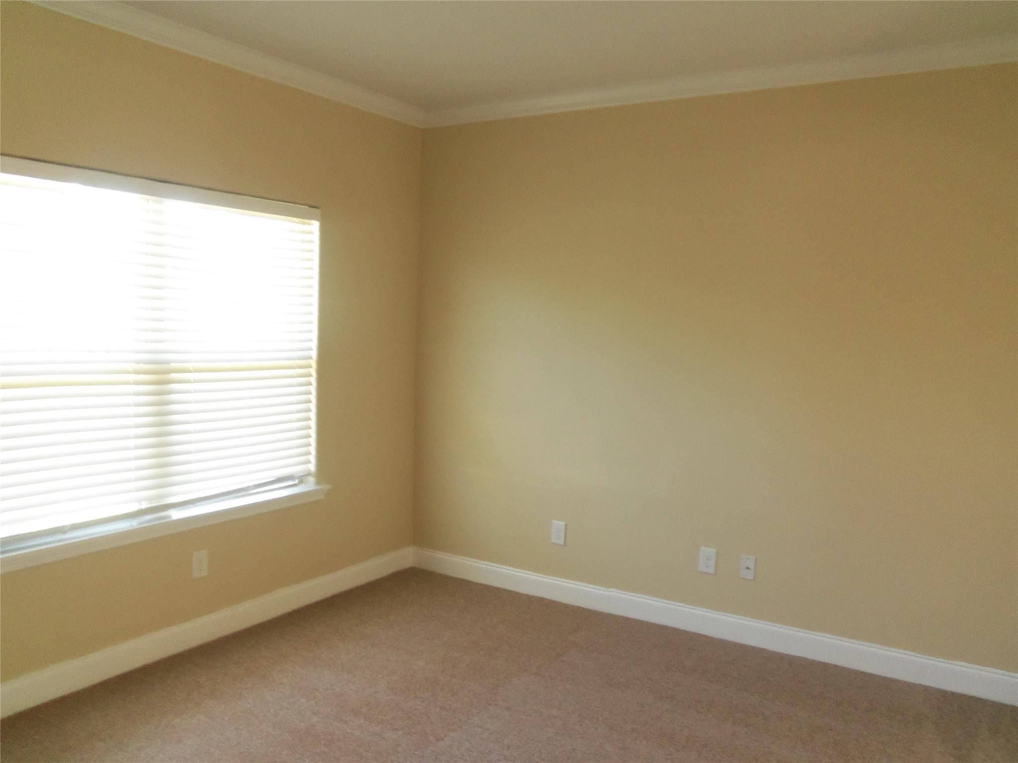 764 Sugarloaf Way, Hampton, GA 30228 photo 18