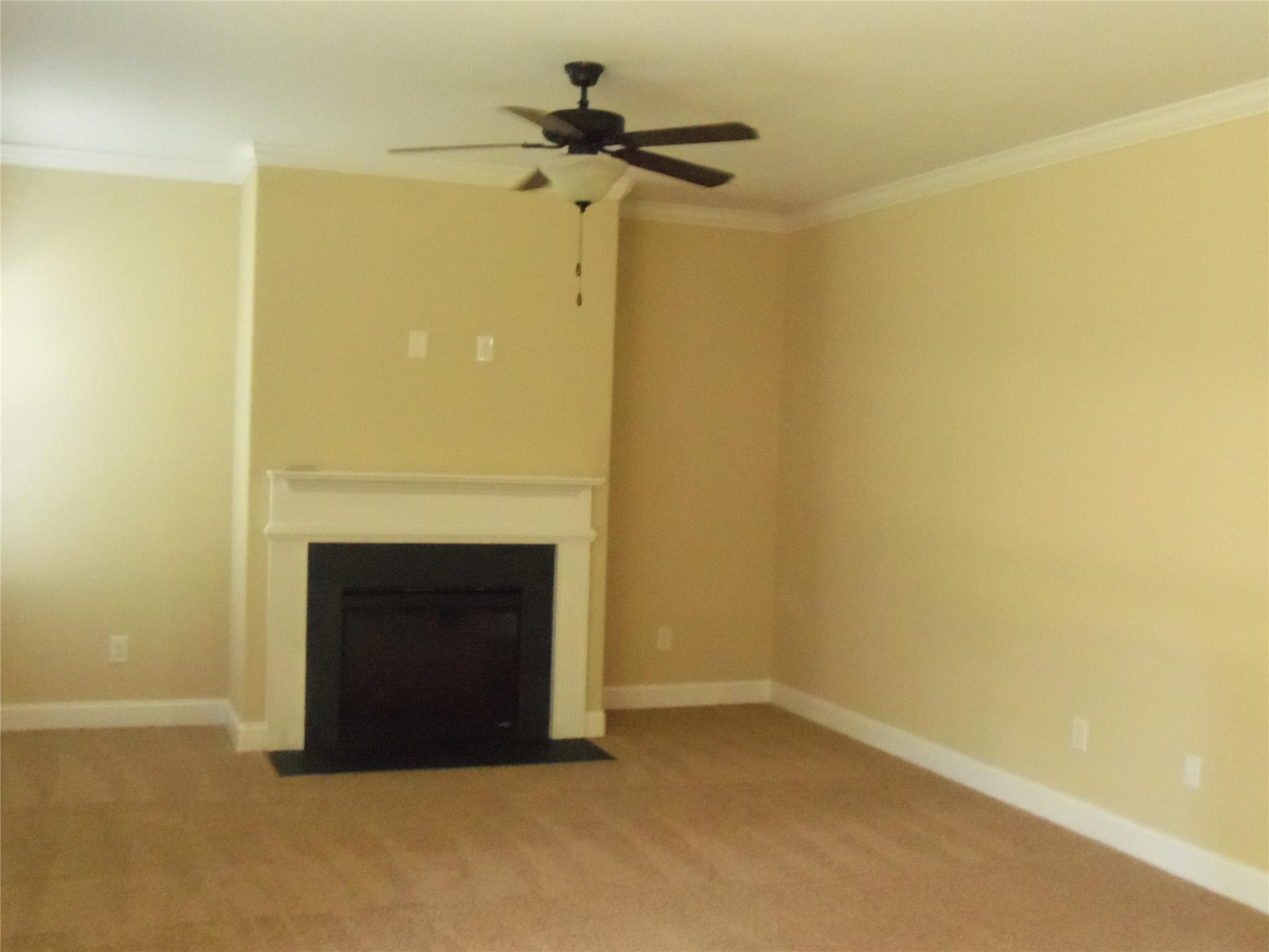 764 Sugarloaf Way, Hampton, GA 30228 photo 20