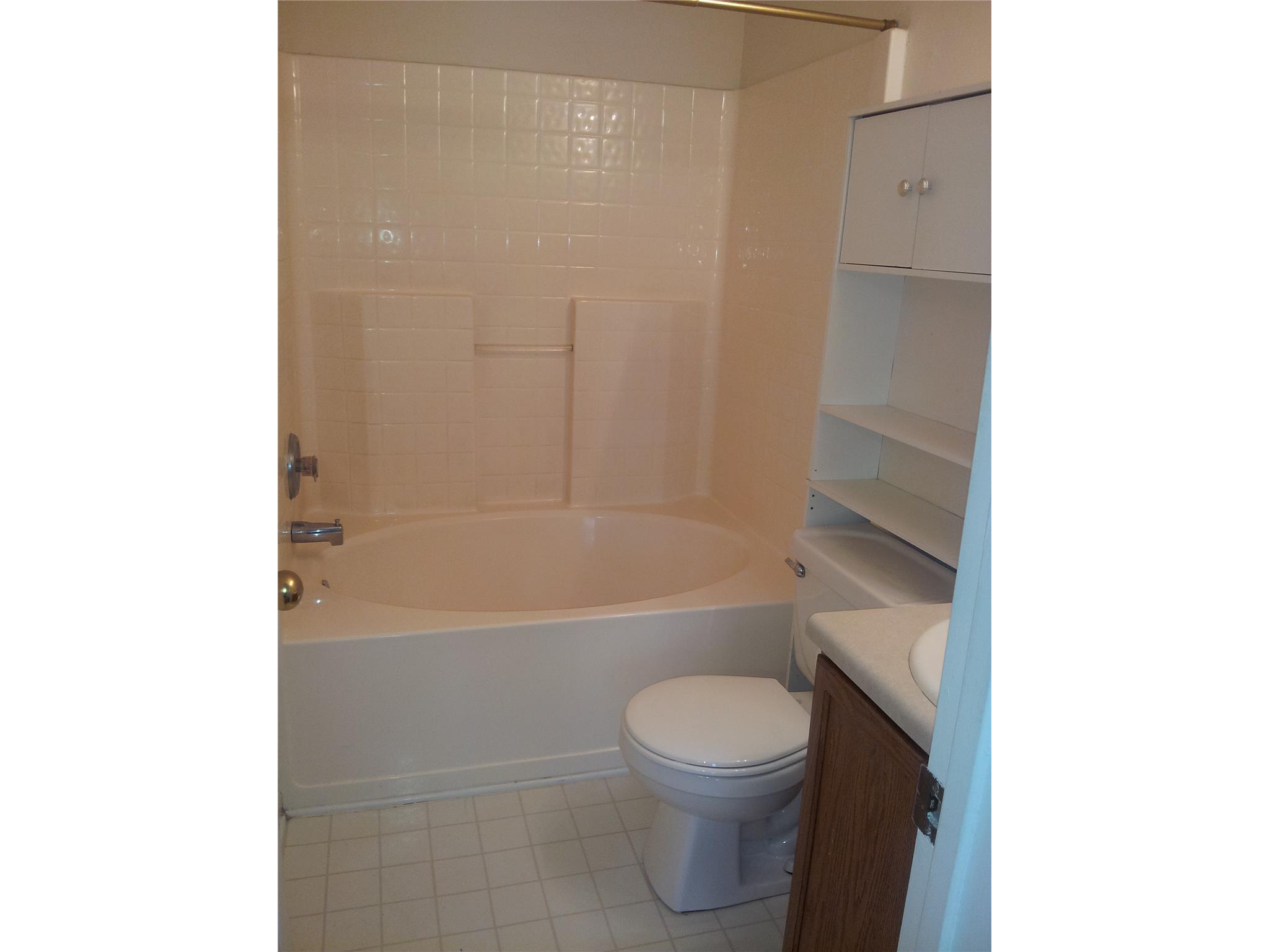 121 Steele Branch Dr, Hampton, GA 30228 photo 6