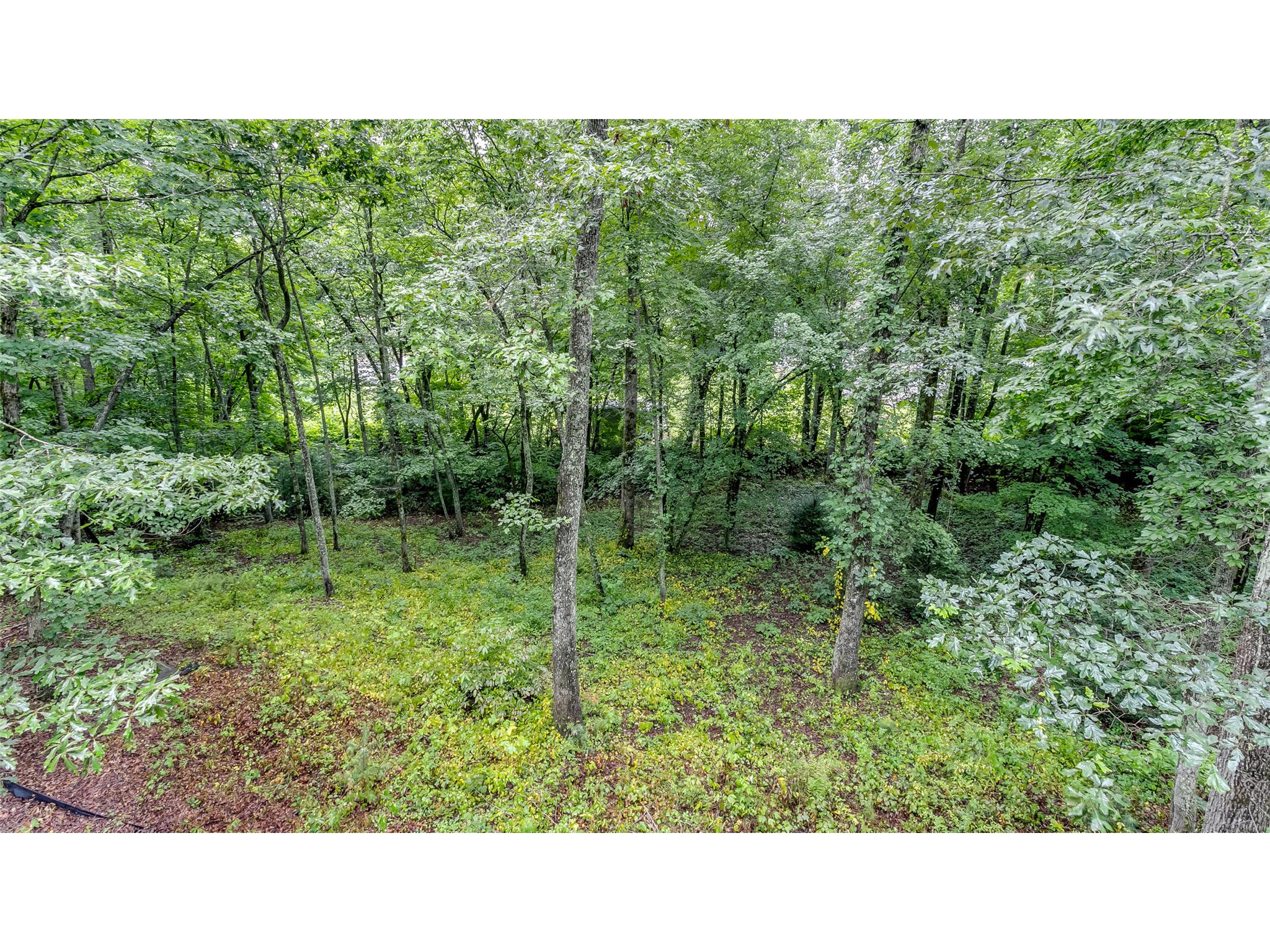 154 White St, Dillard, GA 30537 photo 25