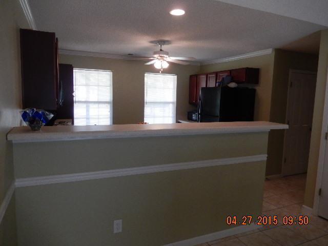 415 Princeton Ct, Hampton, GA 30228 photo 11