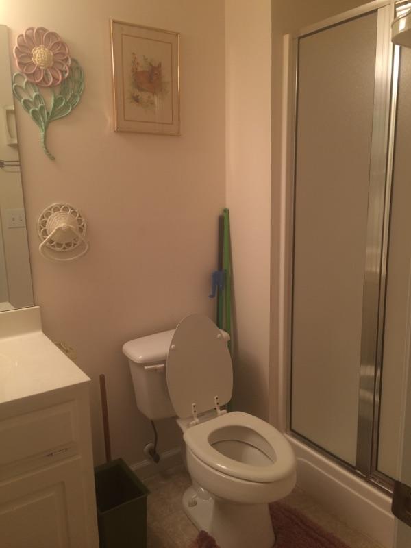 435 Lancaster Dr, Canton, GA 30114 photo 13