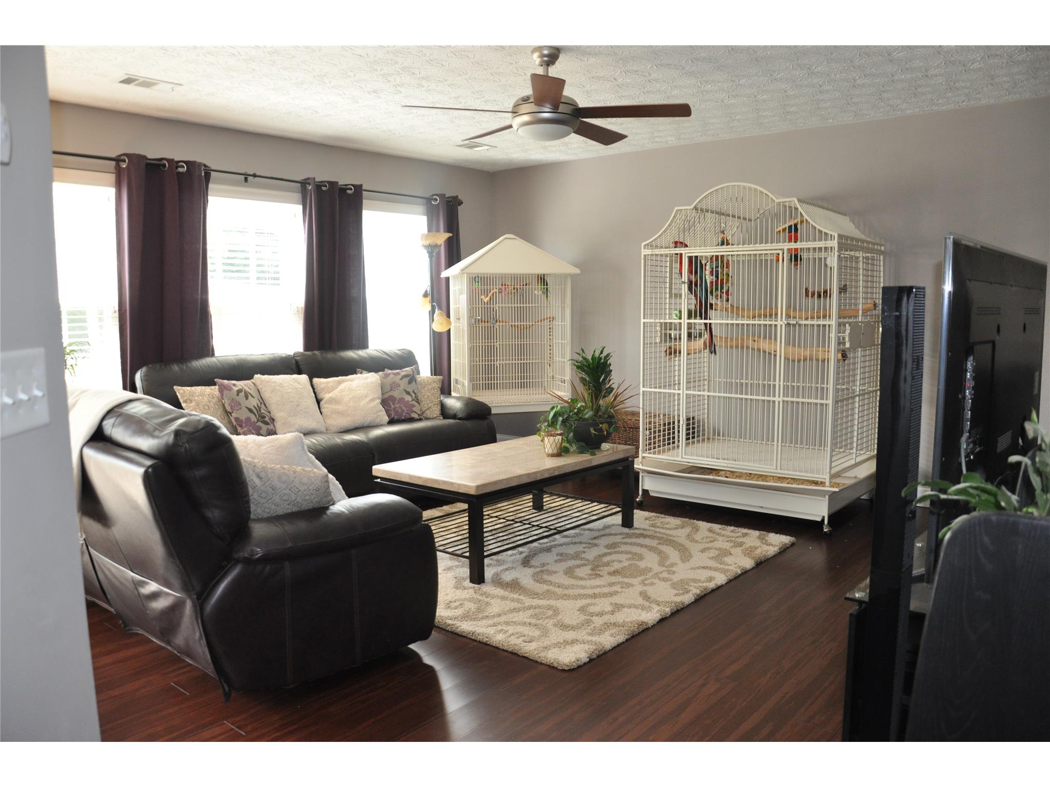 306 Meadows Ln, Canton, GA 30114 photo 8