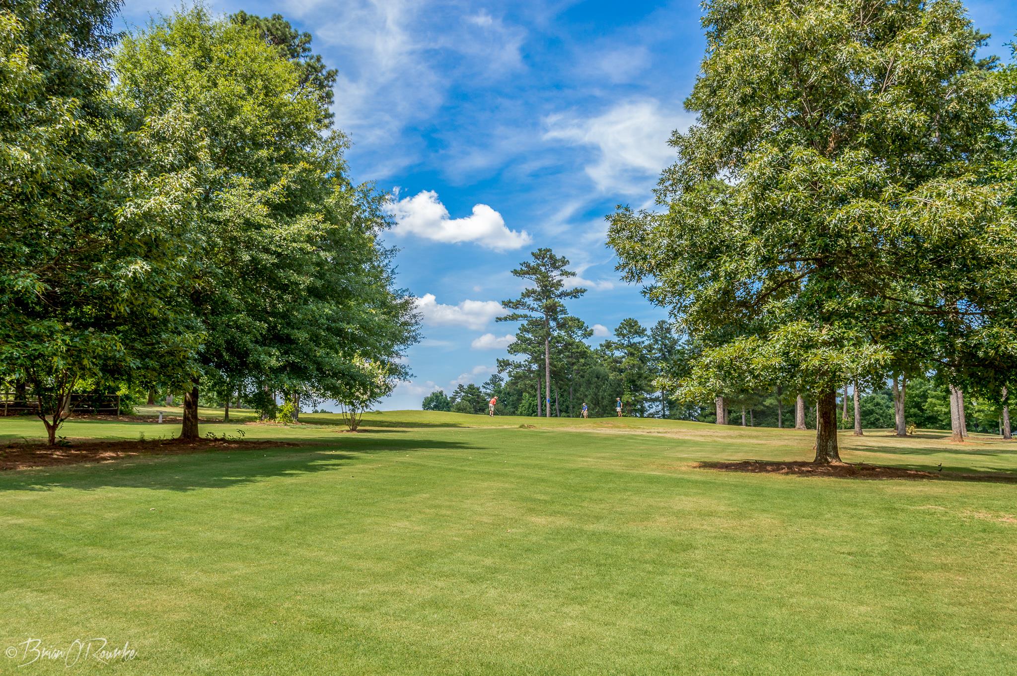 2019 Windsong Way, Monroe, GA 30656 photo 6