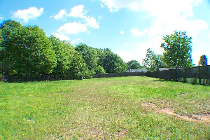 1004 Maggie Dr, Bethlehem, GA 30620 photo 19