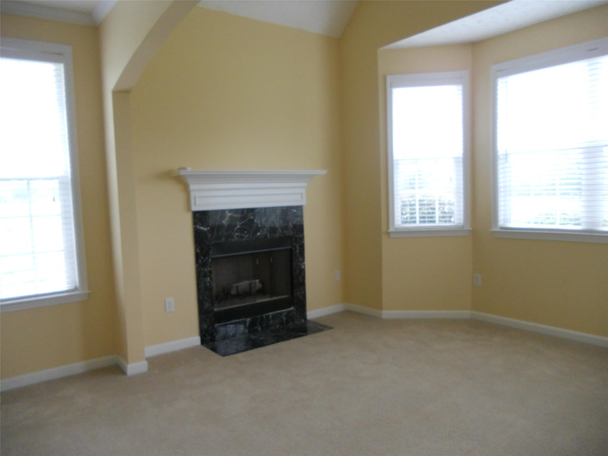 929 Sid Hunter Rd, Senoia, GA 30276 photo 16