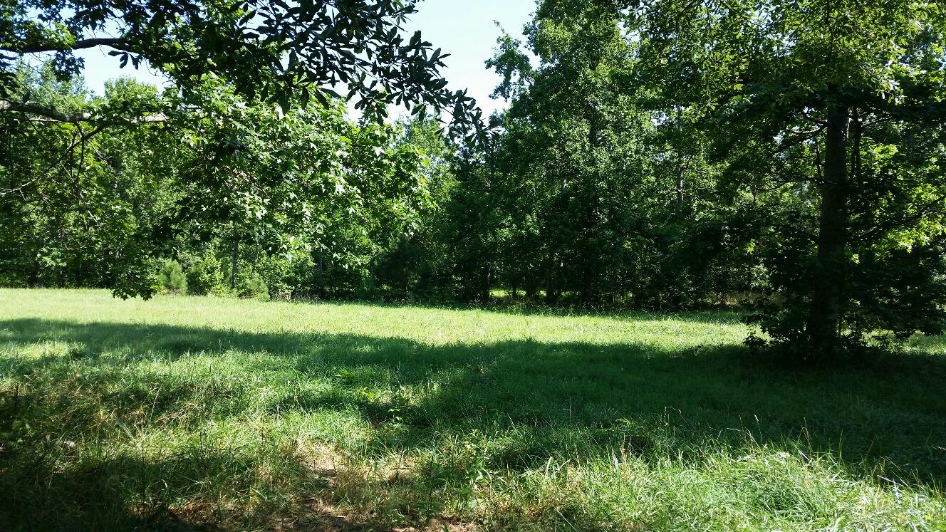 3301 Davis Academy Rd, Rutledge, GA 30663 photo 2