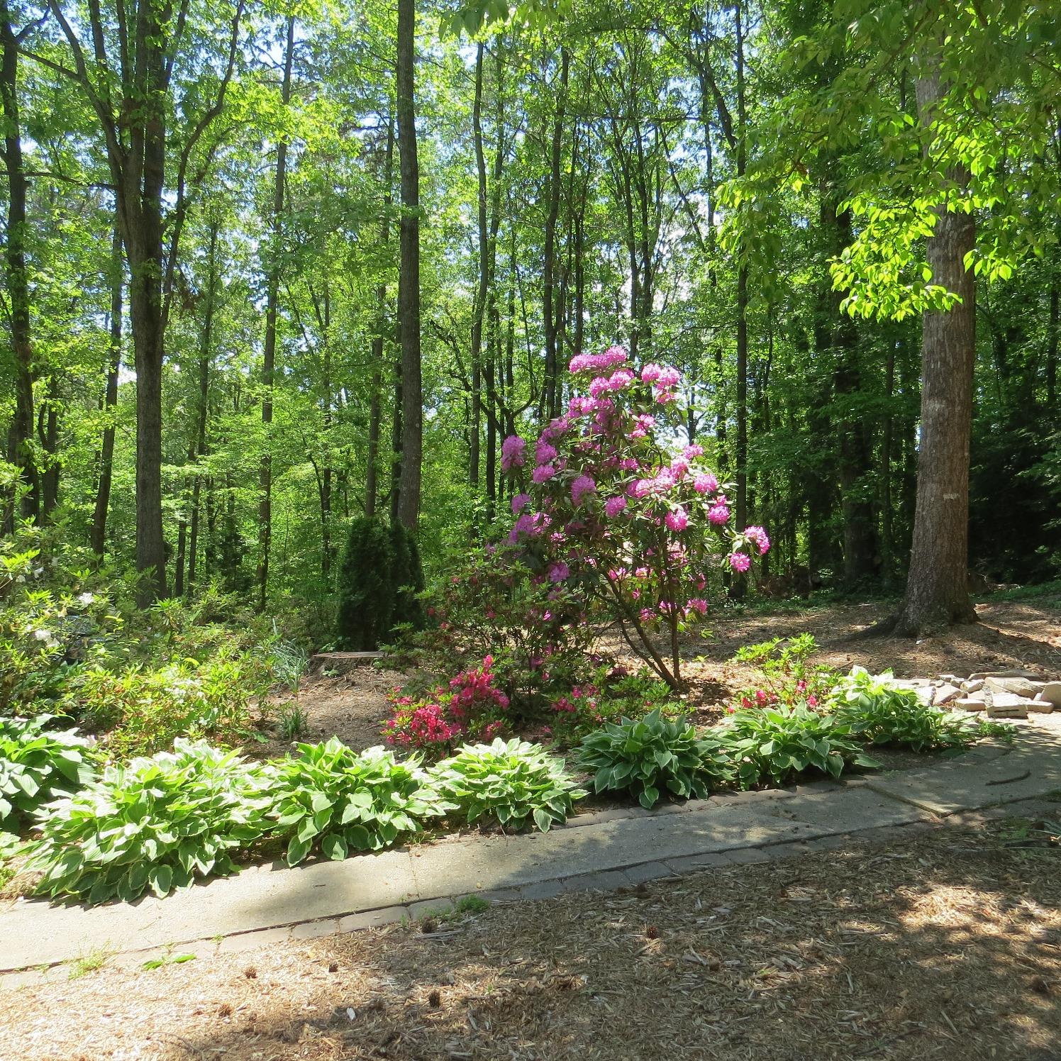 67 Sherwood St, Toccoa, GA 30577 photo 17