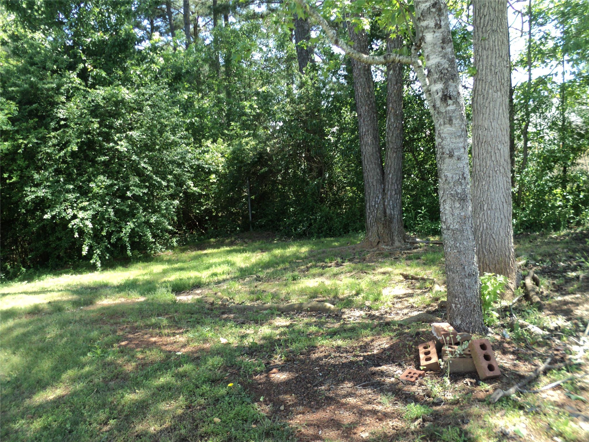 1901 Boatswain Dr, Hampton, GA 30228 photo 19