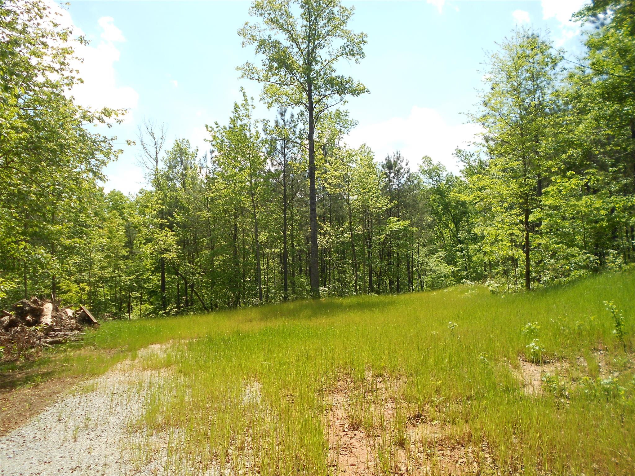 7259 Tyree Rd, Winston, GA 30187 photo 5