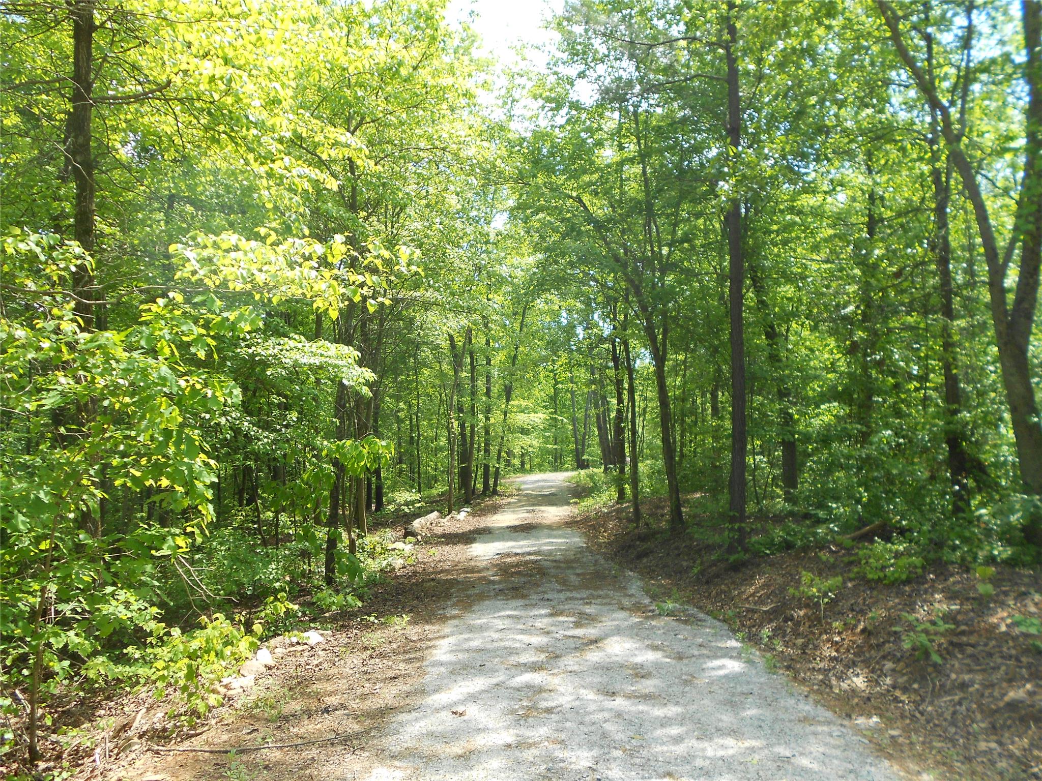 7259 Tyree Rd, Winston, GA 30187 photo 1